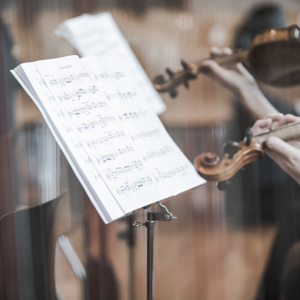 Détails de violons à travers les cordes d'une harpe